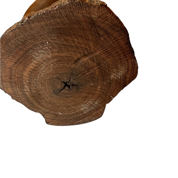 Wood Owl - Picture 5 of 8